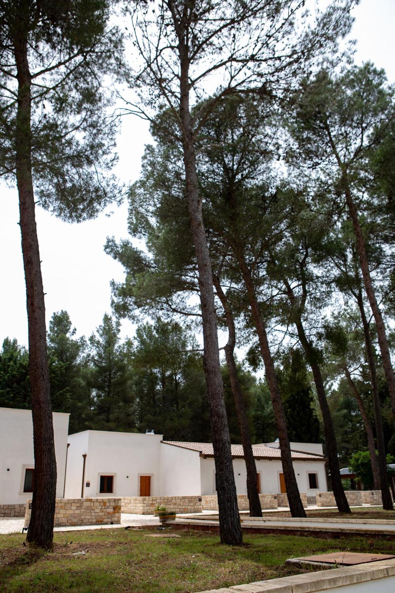 Wine Resort Le Vigne Al Castello Castel Del Monte  Dış mekan fotoğraf